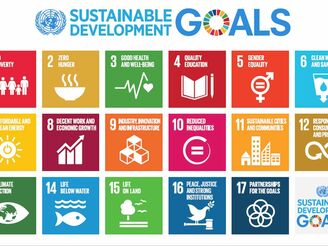 Sustainable Development Goals der UN