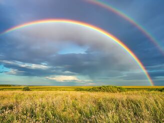 Die Regenbögen der Finanzzeitschriften