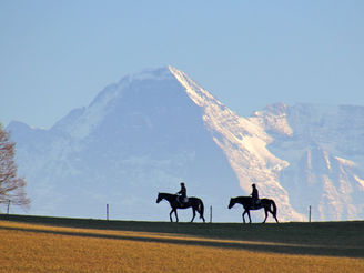 Reiter, Längenberg, Alpen, Schweiz