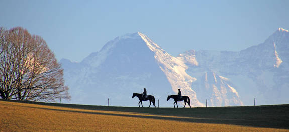 Reiter, Längenberg, Alpen, Schweiz