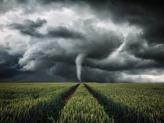 Renditen trotz Weltuntergang