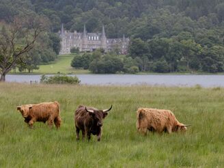 Sind die Aktienmärkte von der Realität entkoppelt?